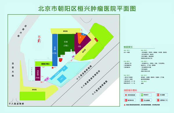 干叉逼逼逼逼逼逼逼逼逼逼北京市朝阳区桓兴肿瘤医院平面图